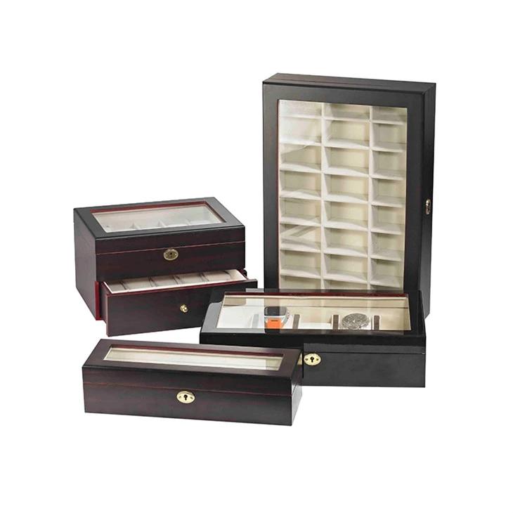 Luxury Watch Display Case