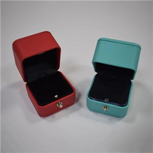 Travelling Portable Jewelry Box