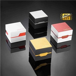 Men's Watch Organiser