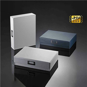 Luxury Watch Organiser