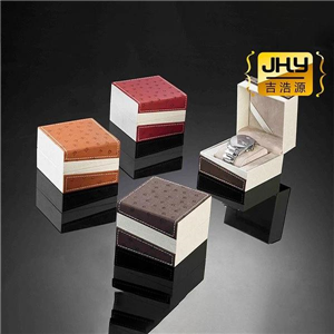 Design Watch Organiser